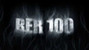 RER 100 in the fog